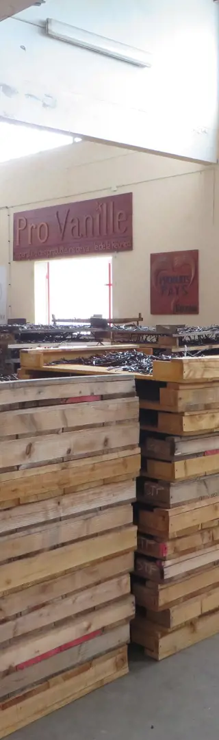 Viel Arbeit ist nötig, damit eine Vanille-Schote verwendet werden kann